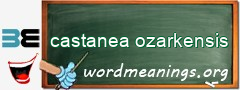 WordMeaning blackboard for castanea ozarkensis